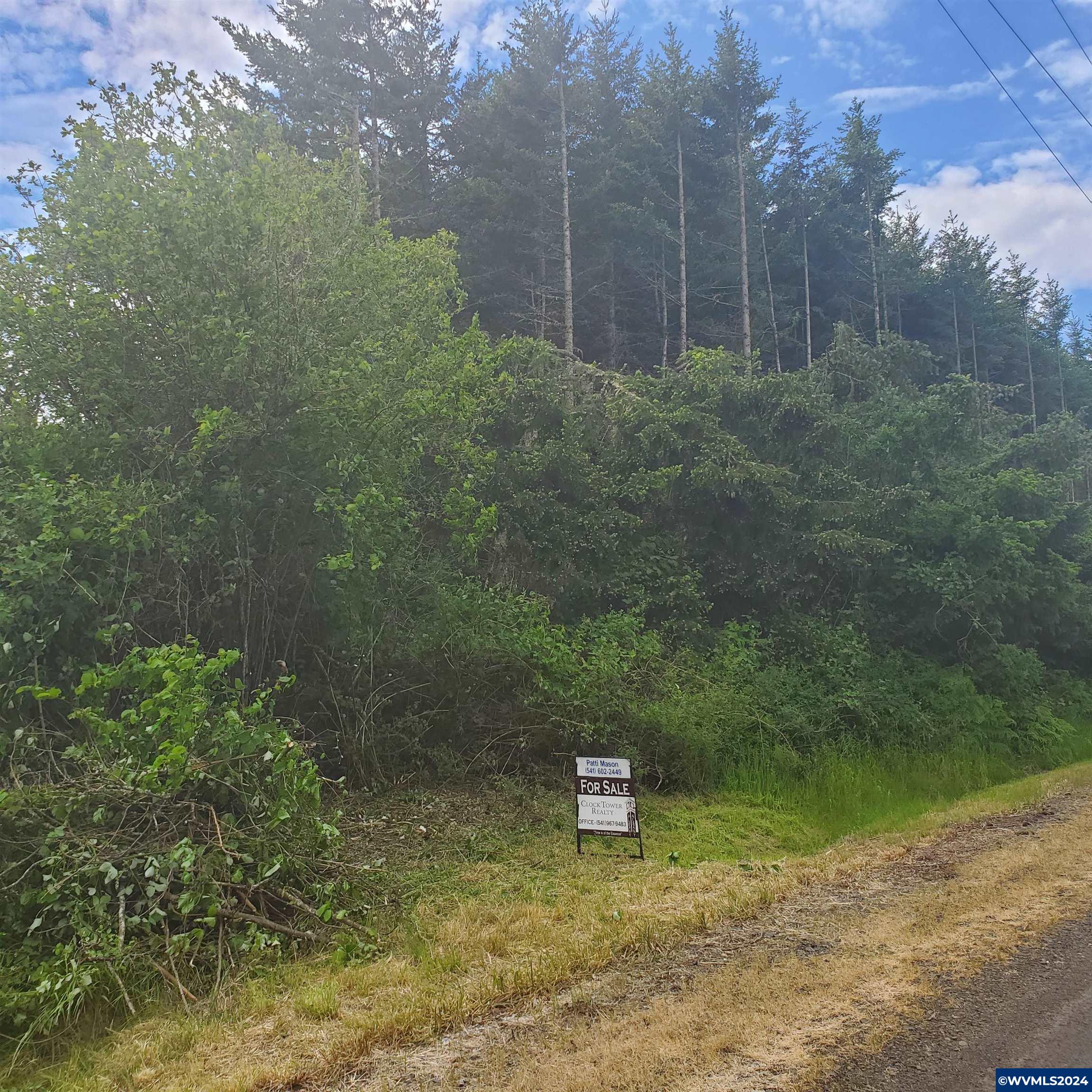 30200 Fairview Road Lebanon, OR 97355 - Photo 15 of 17