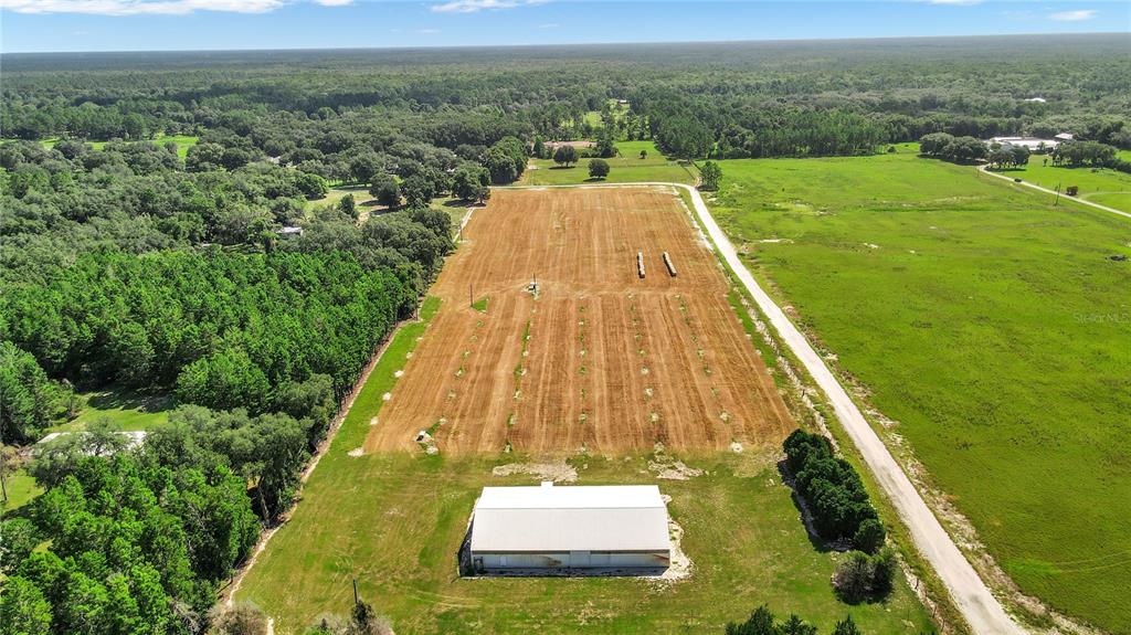 4301 Marsh Road DeLand, FL 32724 - Photo 1 of 1 Gallery Image 1