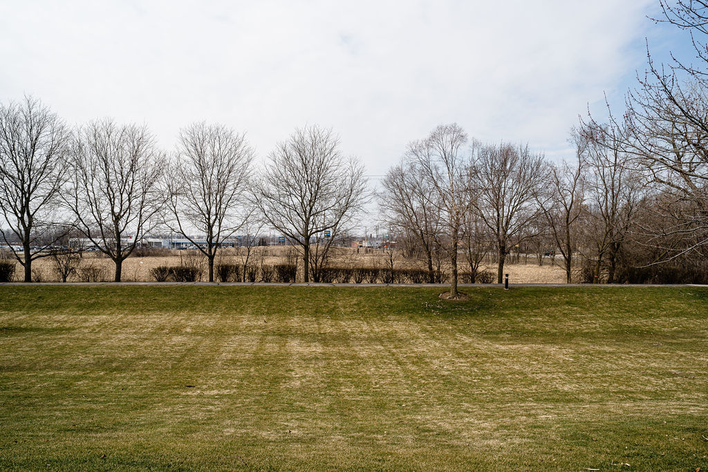 364 Littleton Trail Elgin, IL 60120 - Photo 36 of 36