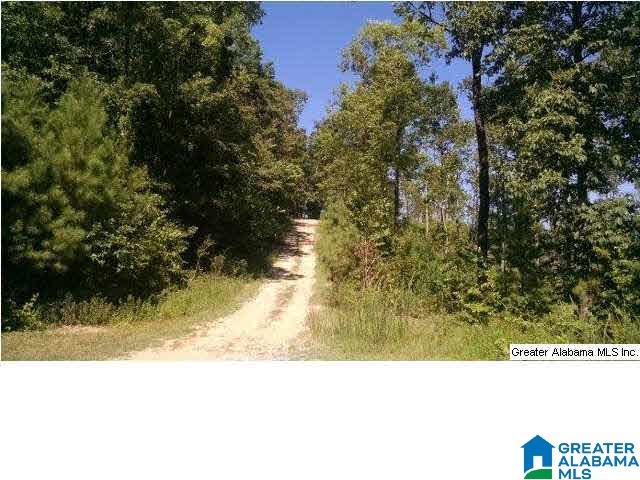 0 Beaver Ridge Drive, Unit 42 48 Ashville, AL 35953 - Photo 8 of 26