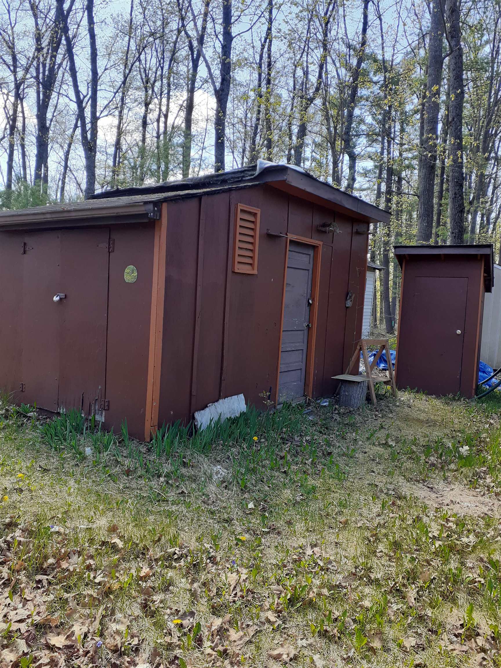 5569 Pine Road Curran, MI 48728 - Photo 4 of 7 Gallery Image 4