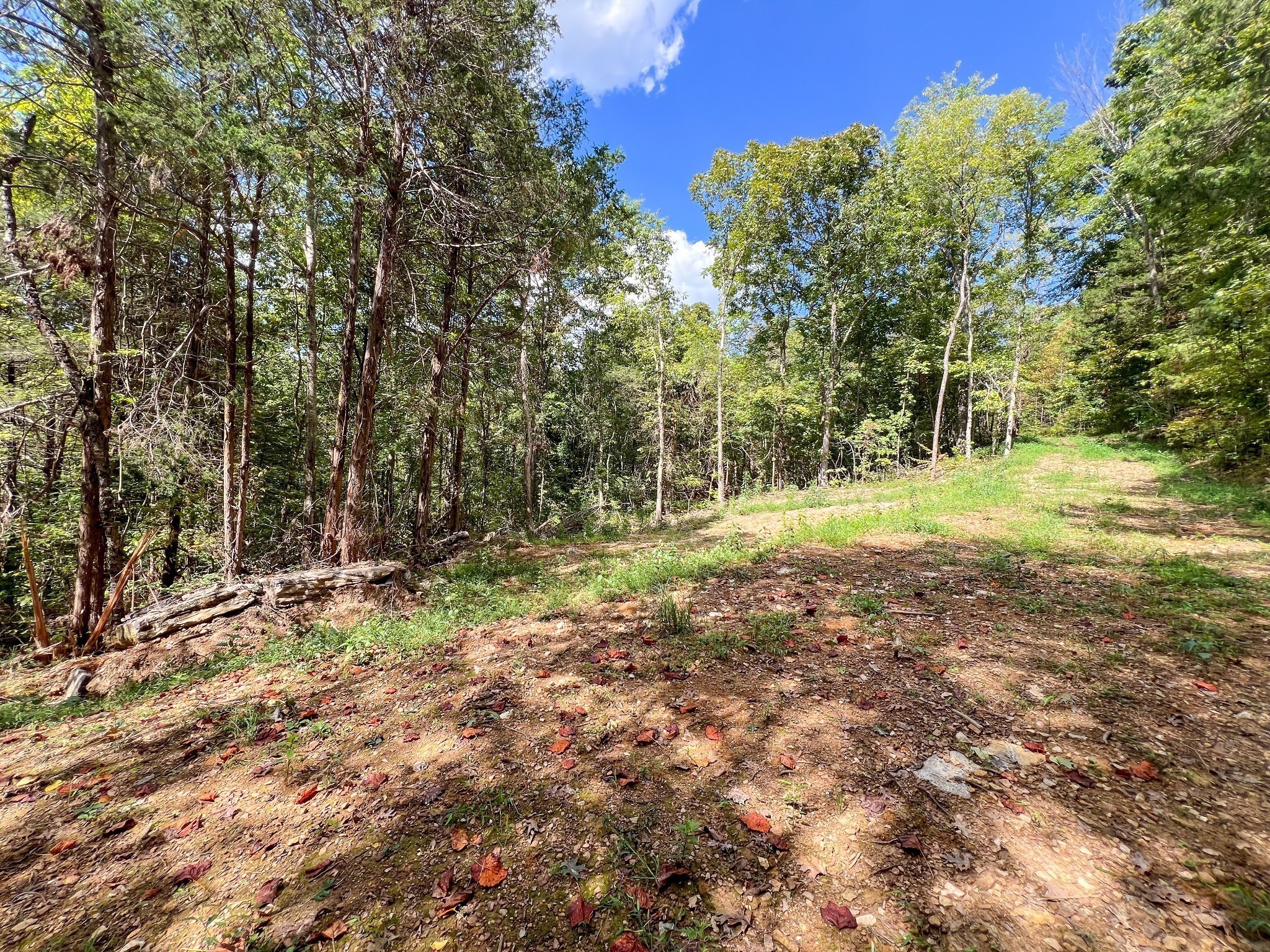 7659 Burks Road Christiana, TN 37037 - Photo 13 of 32 Gallery Image 13