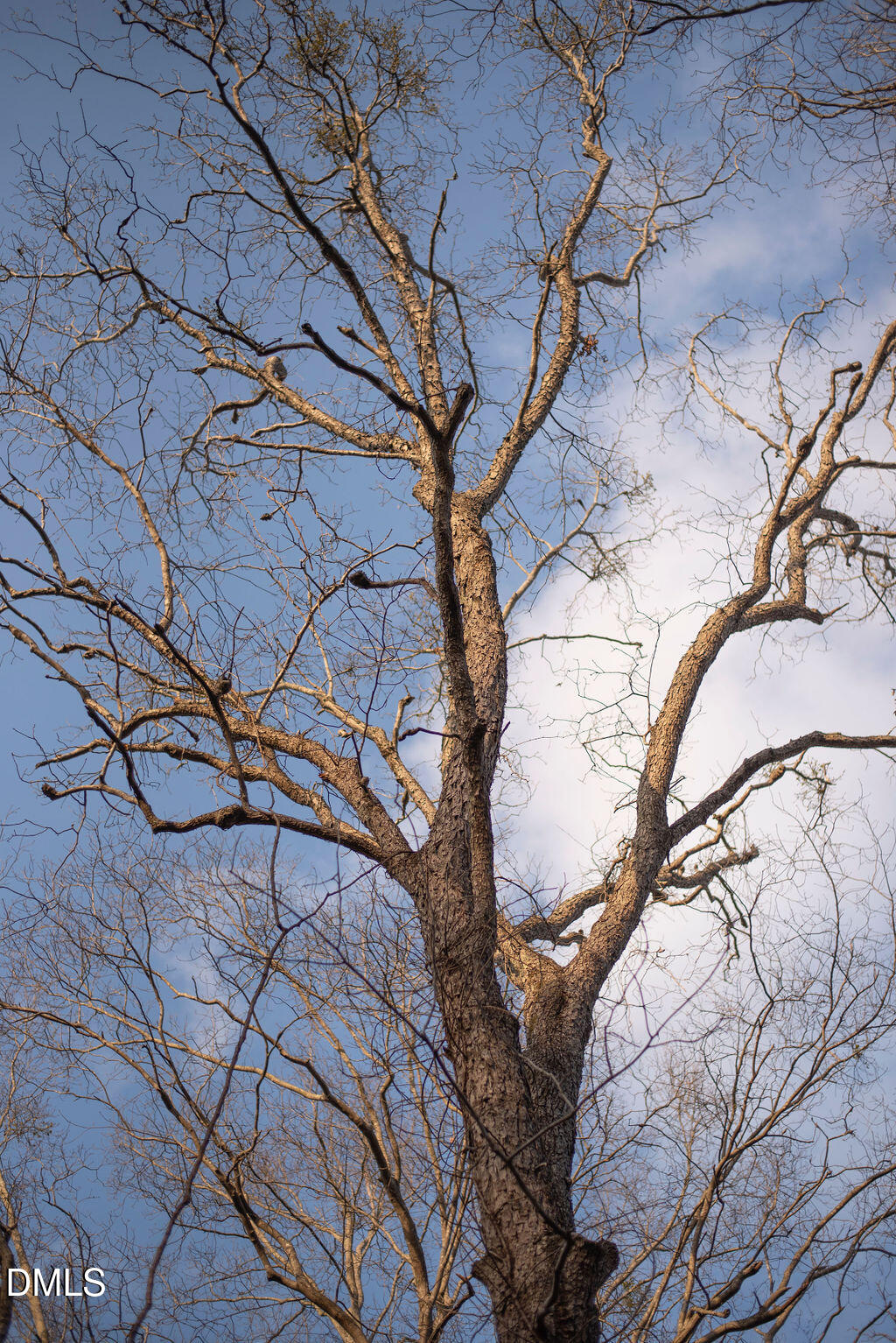 8729 Allison Road Cedar Grove, NC 27231 - Photo 59 of 63 DSC_2676