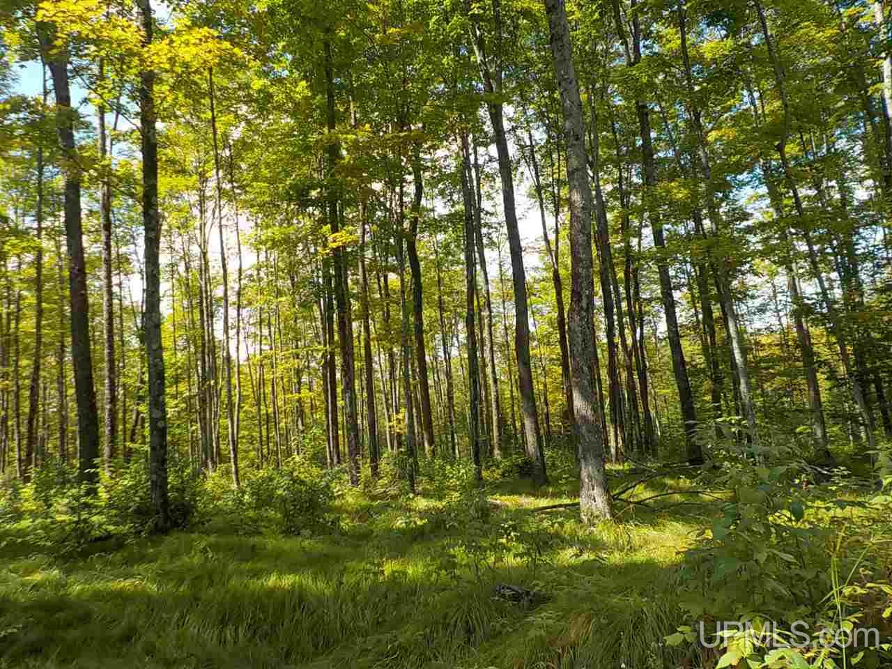 80-ac Mcclaren Road Crystal Falls, MI 49920 - Photo 23 of 27
