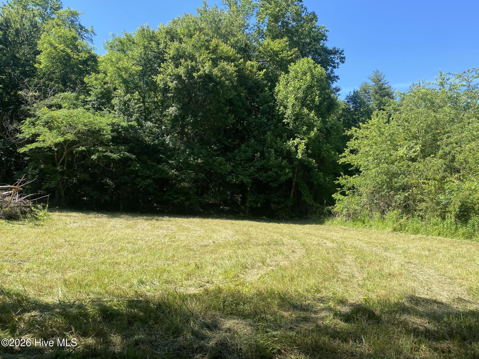 Lot 7 Running Bear Road Murphy, NC 28906 - Photo 13 of 14
