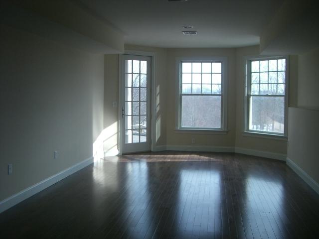 41 Under Mountain Road Lenox, MA 01240 - Photo 16 of 17 Lower level