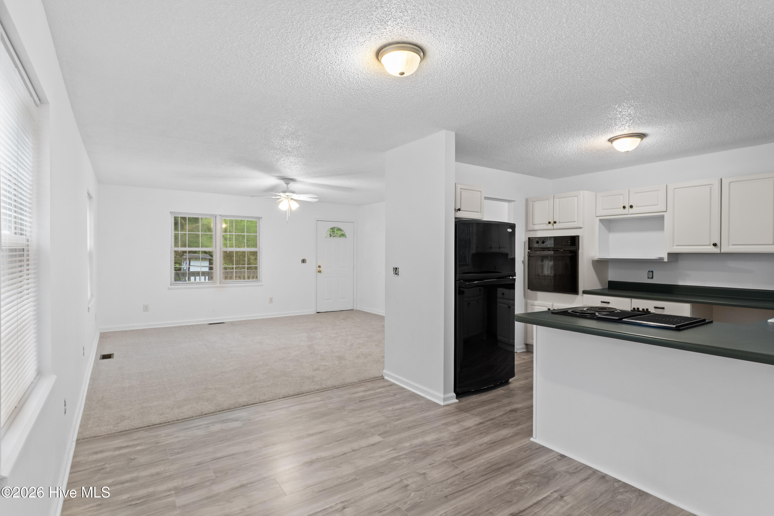 7358 Ivanhoe Road Ivanhoe, NC 28447 - Photo 12 of 38 32-DSC06640