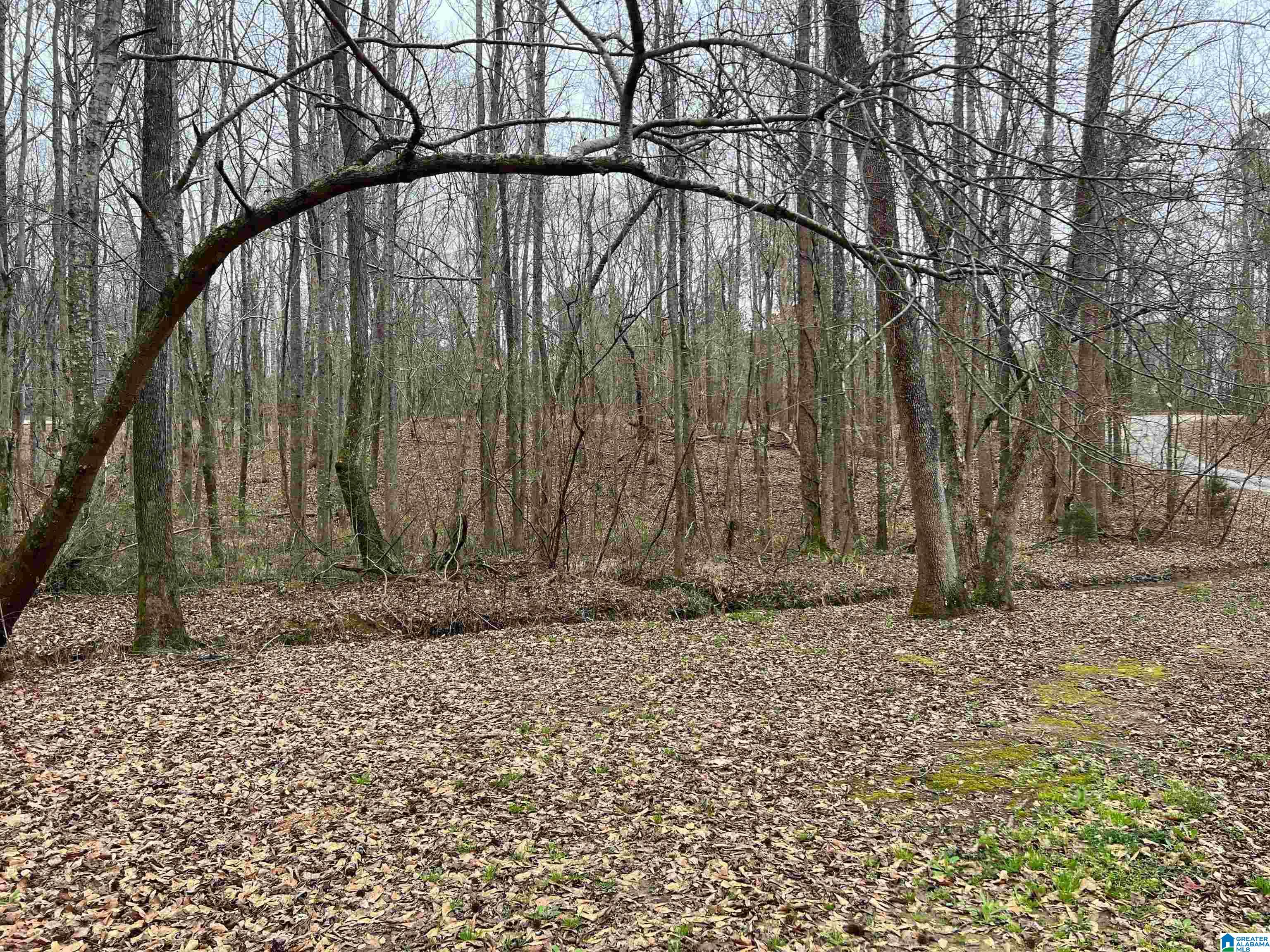 470 County Road 869 Jemison, AL 35085 - Photo 18 of 18
