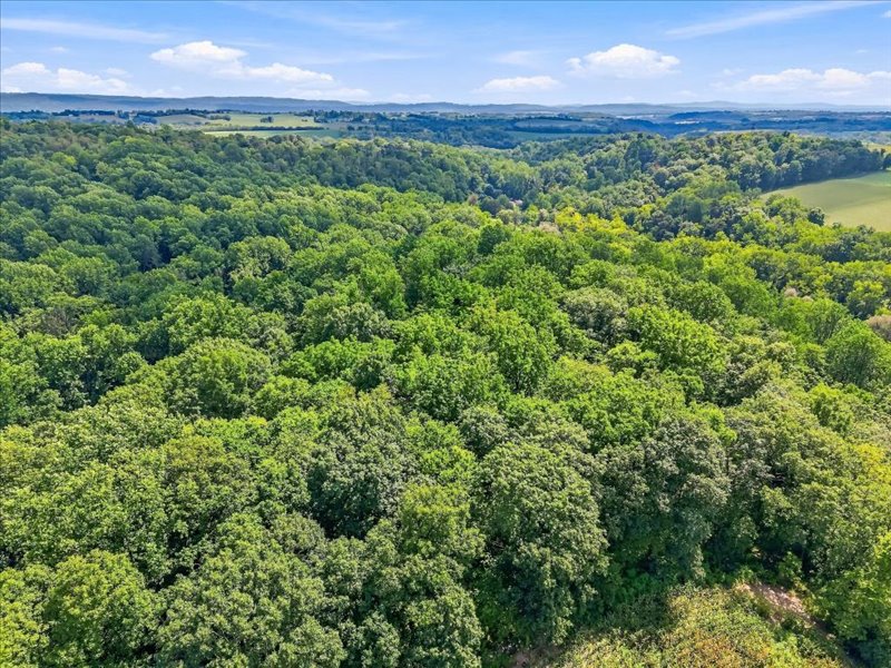 1168 Mt Pleasant Road Bangor, PA 18013 - Photo 17 of 100 Lush rolling hills and dense woodlands create a peaceful backdrop under blue skies.