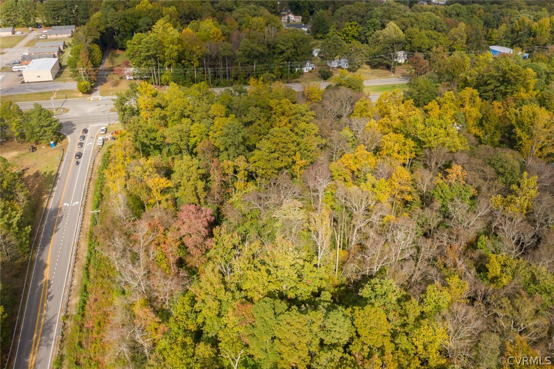 521 East Hundred Road Chester, VA 23836 - Photo 6 of 7 a view of a yard covered with trees