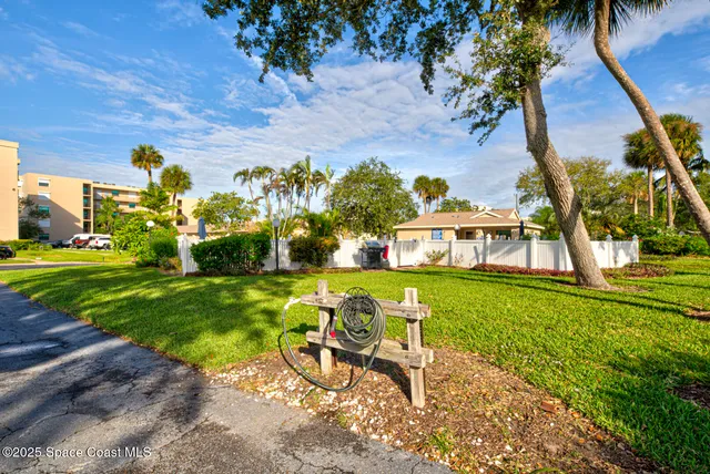 a view of backyard with palm trees