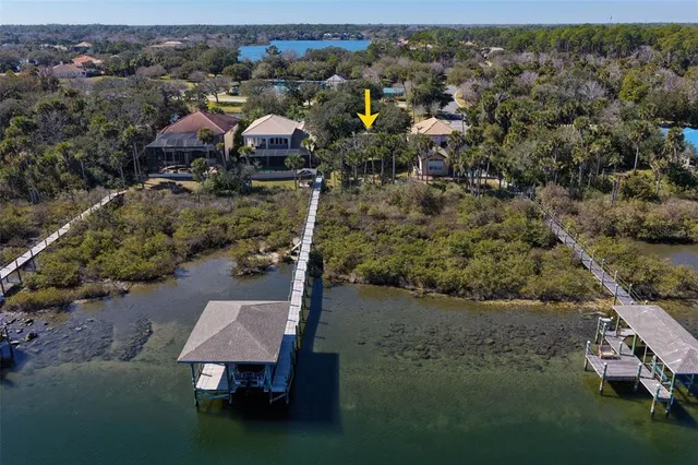 an aerial view of residential houses with outdoor space and trees