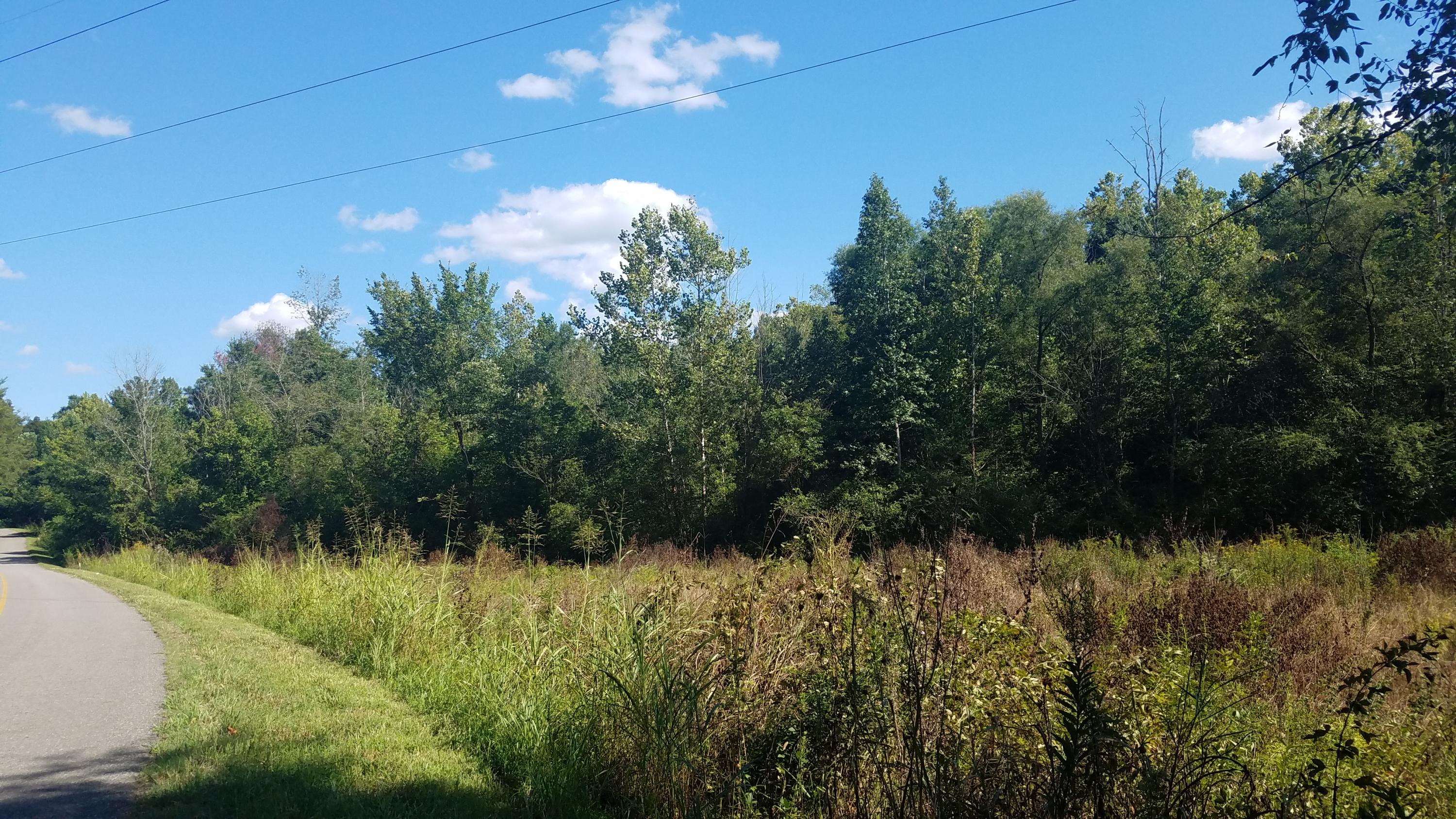 0 Blue Springs Road Philadelphia, TN 37846 - Photo 1 of 7 20190828_163716