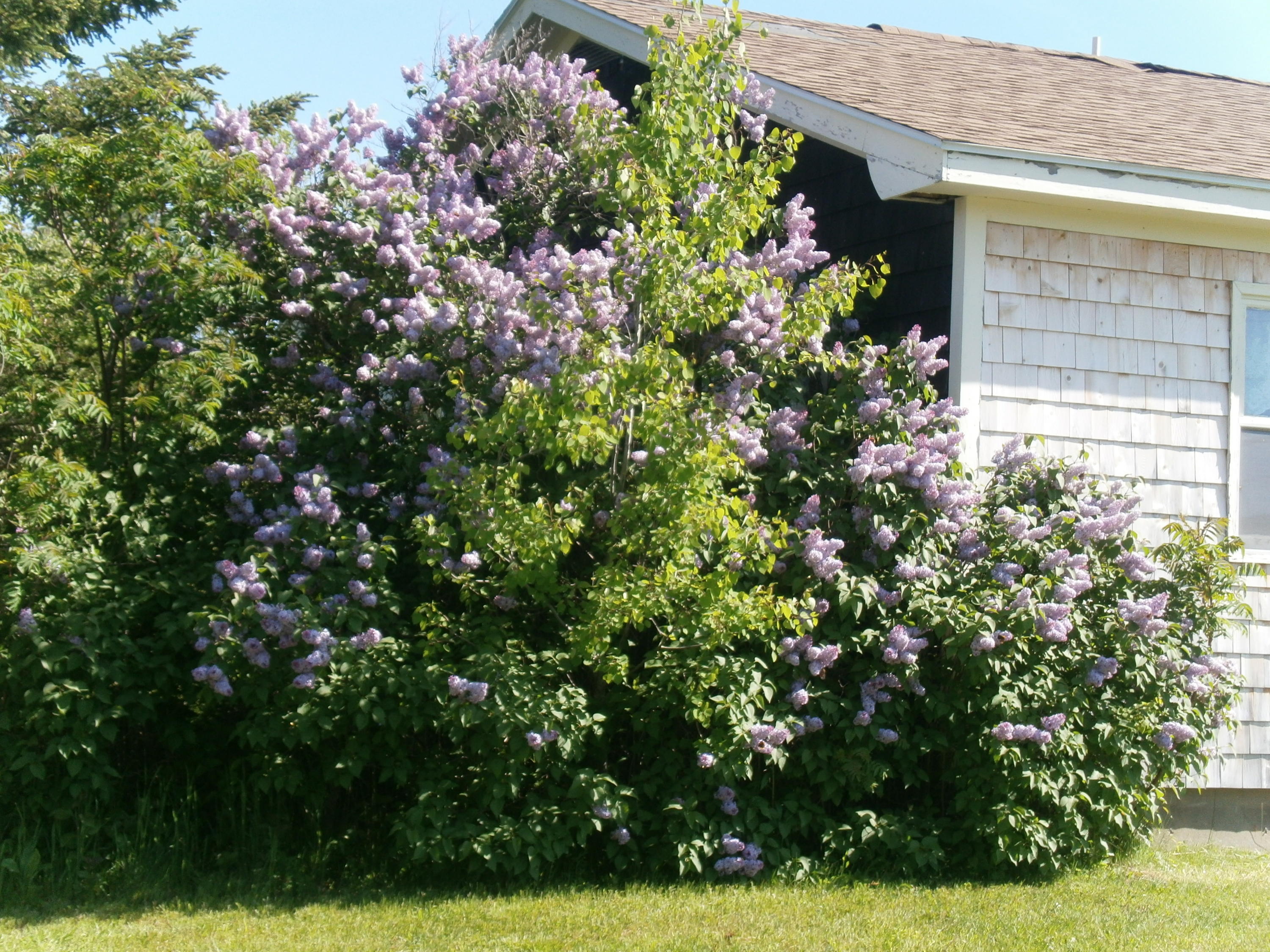 263 River Road Lagrange, ME 04453 - Photo 4 of 26 P6091618