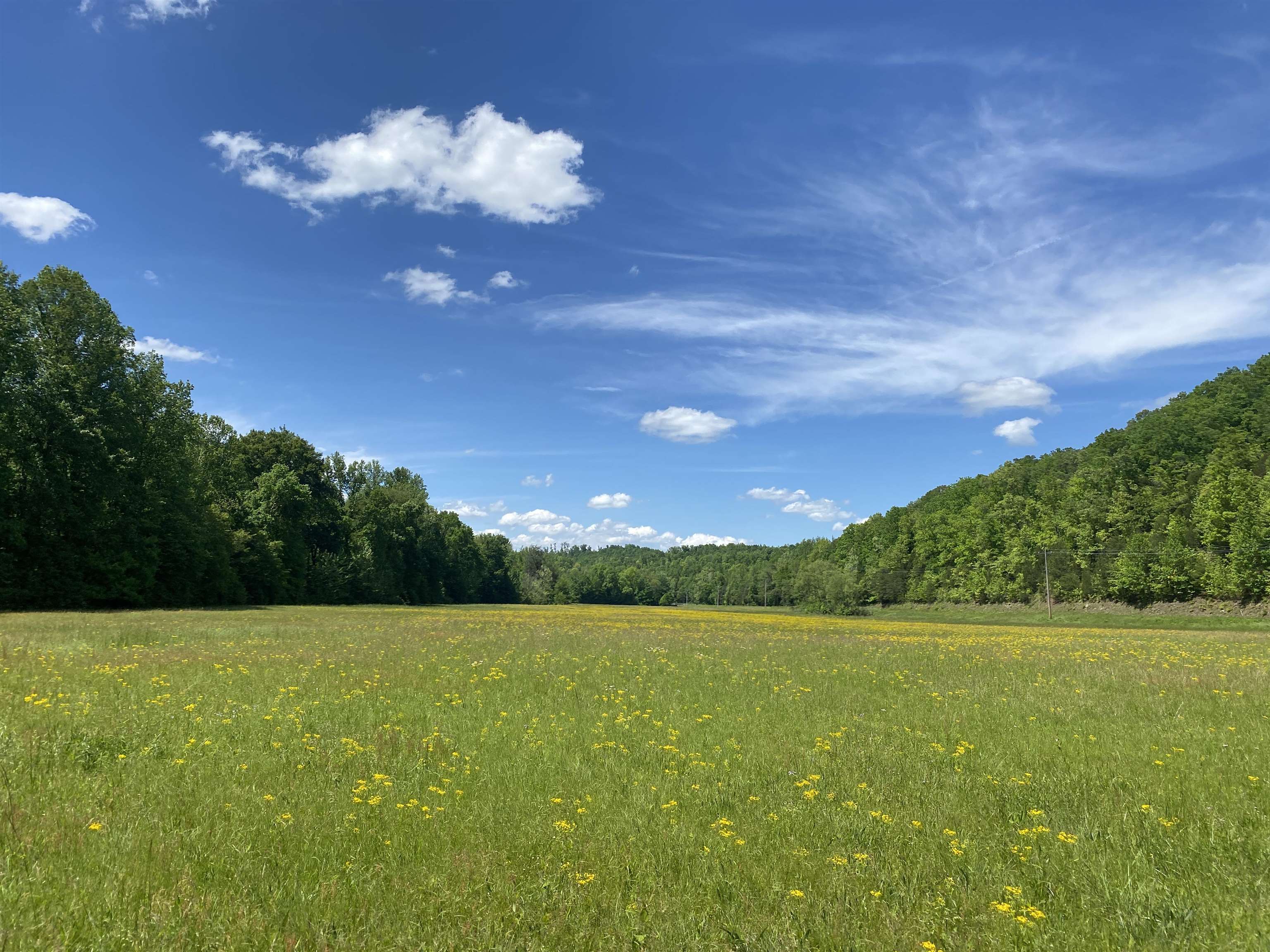2 Lick Creek Road Linden, TN 37096 - Photo 1 of 37 Gallery Image 1