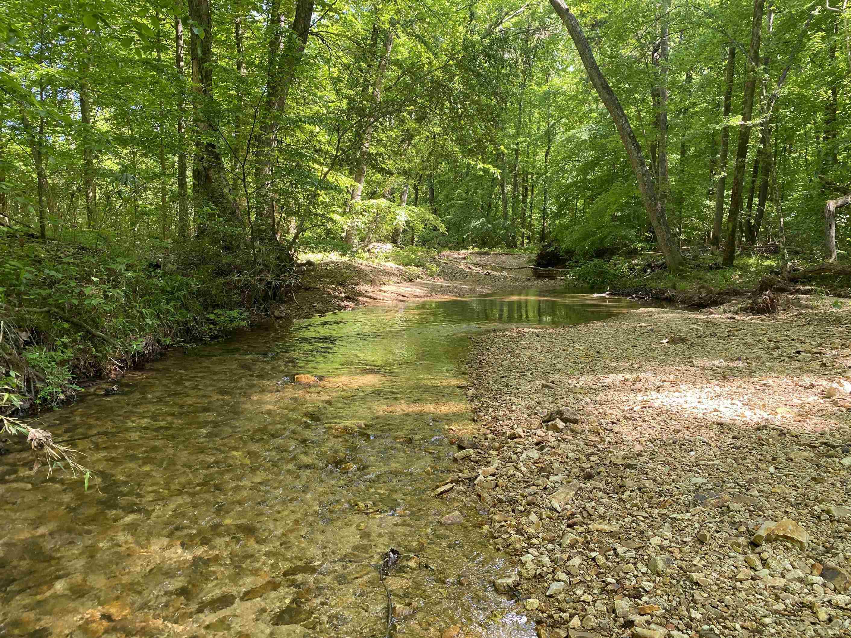 2 Lick Creek Road Linden, TN 37096 - Photo 3 of 37 Gallery Image 3