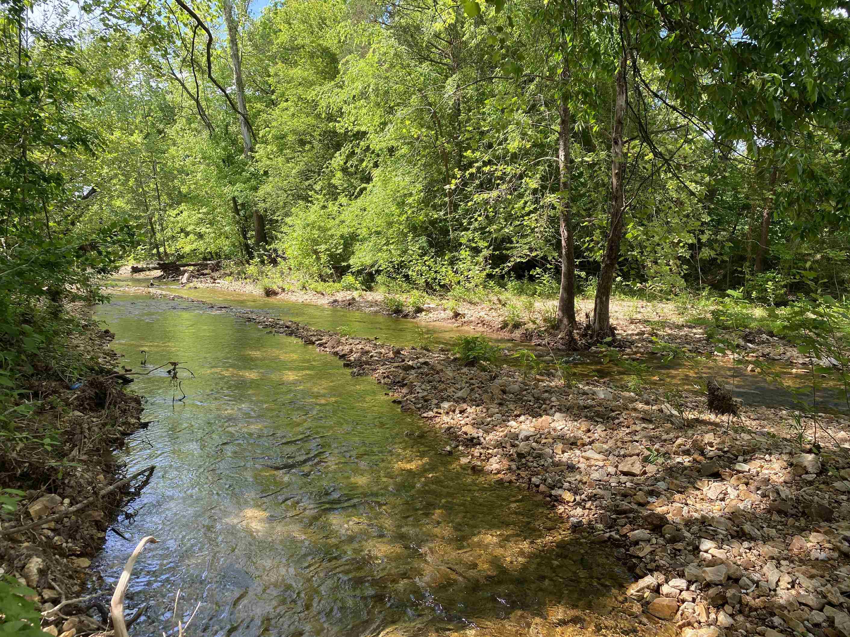 2 Lick Creek Road Linden, TN 37096 - Photo 36 of 37 Gallery Image 36