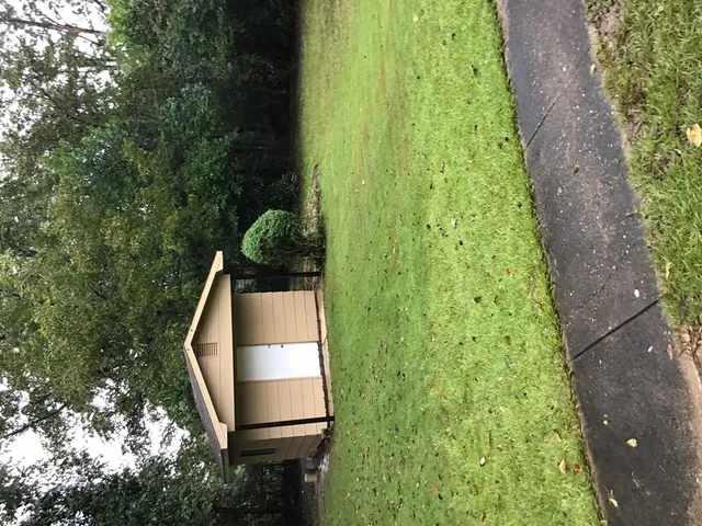 a close view of shower curtain