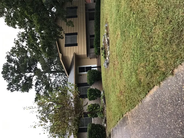 a plant is sitting in front of a door