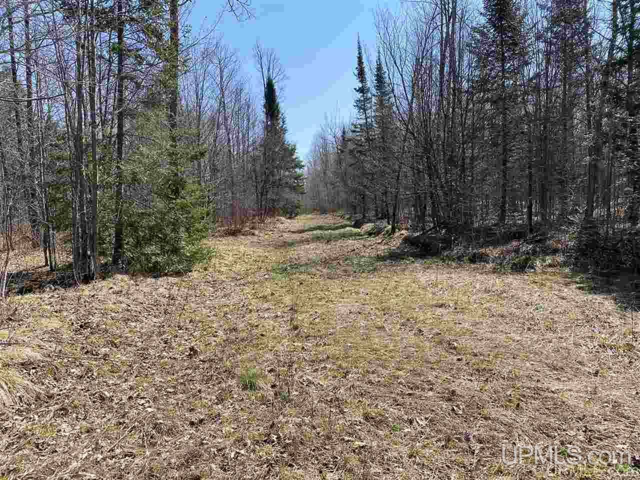 Off Nelson Road Glidden, WI 54527 - Photo 6 of 23