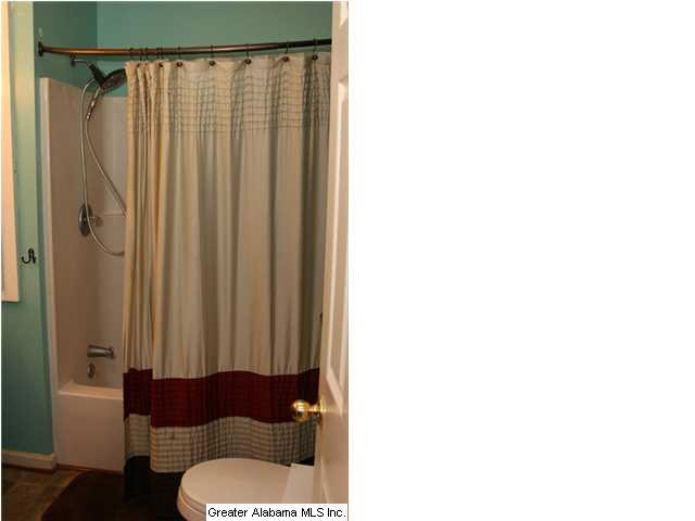 730 Copper Springs Road Odenville, AL 35120 - Photo 8 of 16