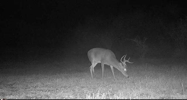 $850,000 | 375 West W Cr, Falfurrias, TX 78355