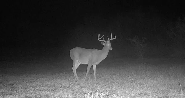 $850,000 | 375 West W Cr, Falfurrias, TX 78355