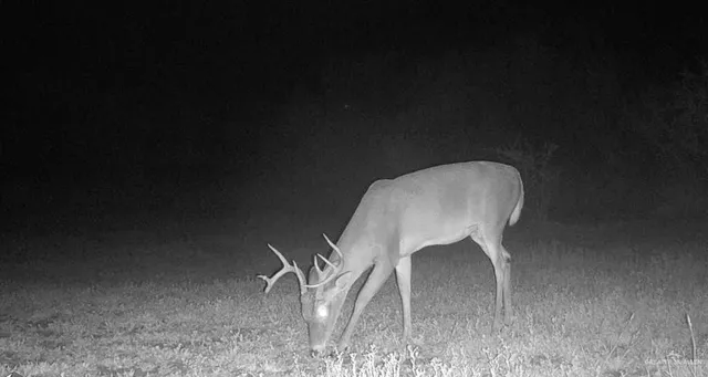 $850,000 | 375 West W Cr, Falfurrias, TX 78355