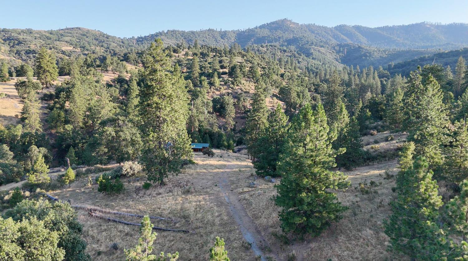 0 Whitaker Forest Road Miramonte, CA 93603 - Photo 27 of 78 a view of a mountain with a tree in the background