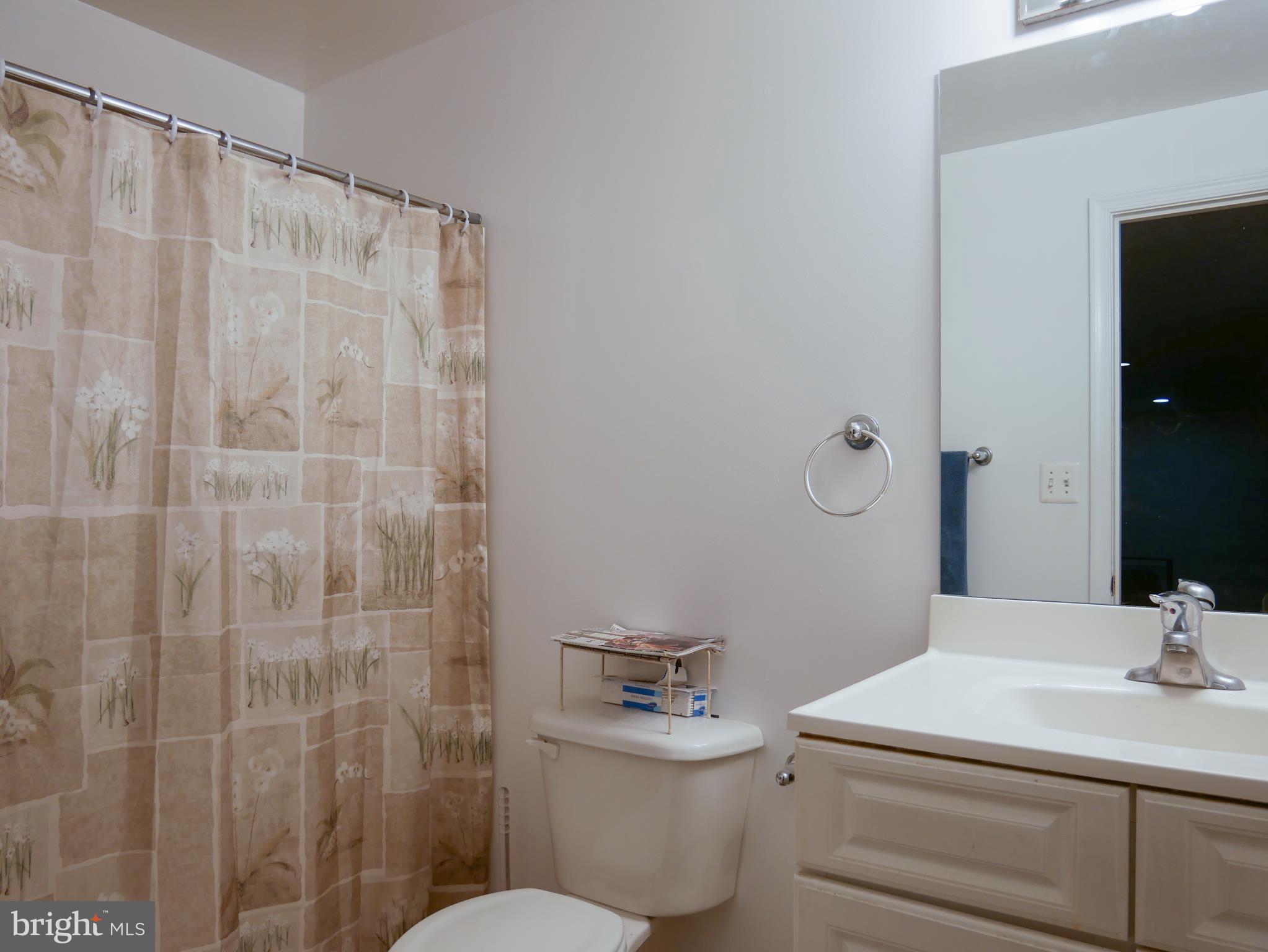 10409 Colesville Road Silver Spring, MD 20901 - Photo 18 of 30 Lowe level full bath