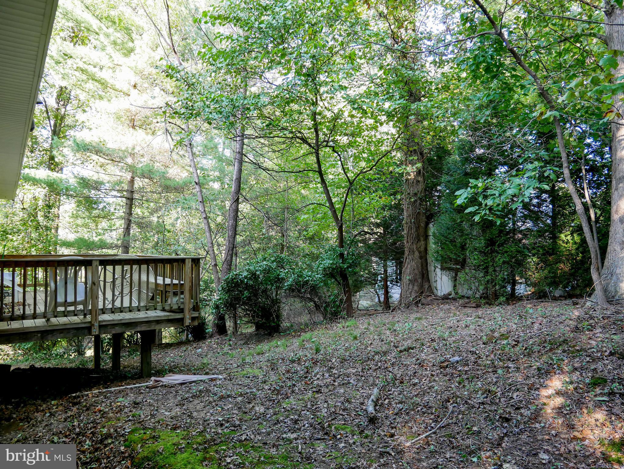 10409 Colesville Road Silver Spring, MD 20901 - Photo 28 of 30 Private backyard