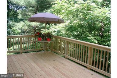 10409 Colesville Road Silver Spring, MD 20901 - Photo 29 of 30 Exterior (Rear)