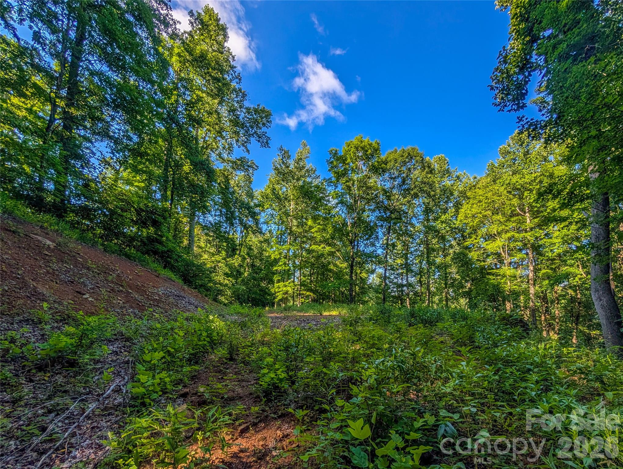 0 Amber Ranches, Unit 47 Bakersville, NC 28705 - Photo 4 of 18