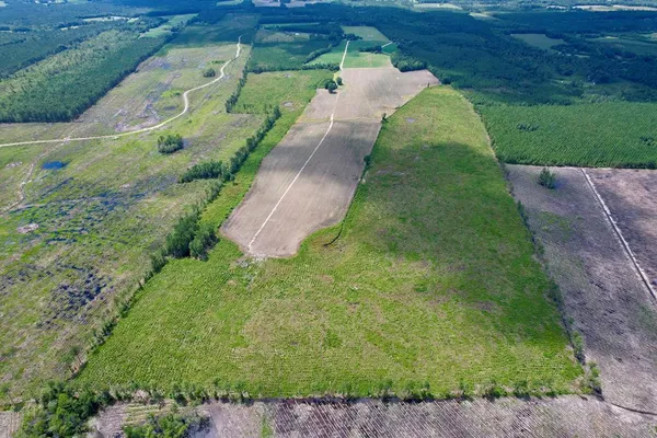 $725,000 | 527 Tbd Highway, New Zion, SC 29111