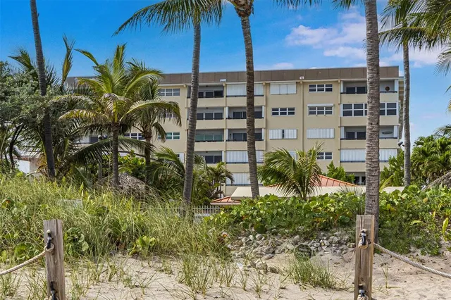 a view of a yard with a palm tree