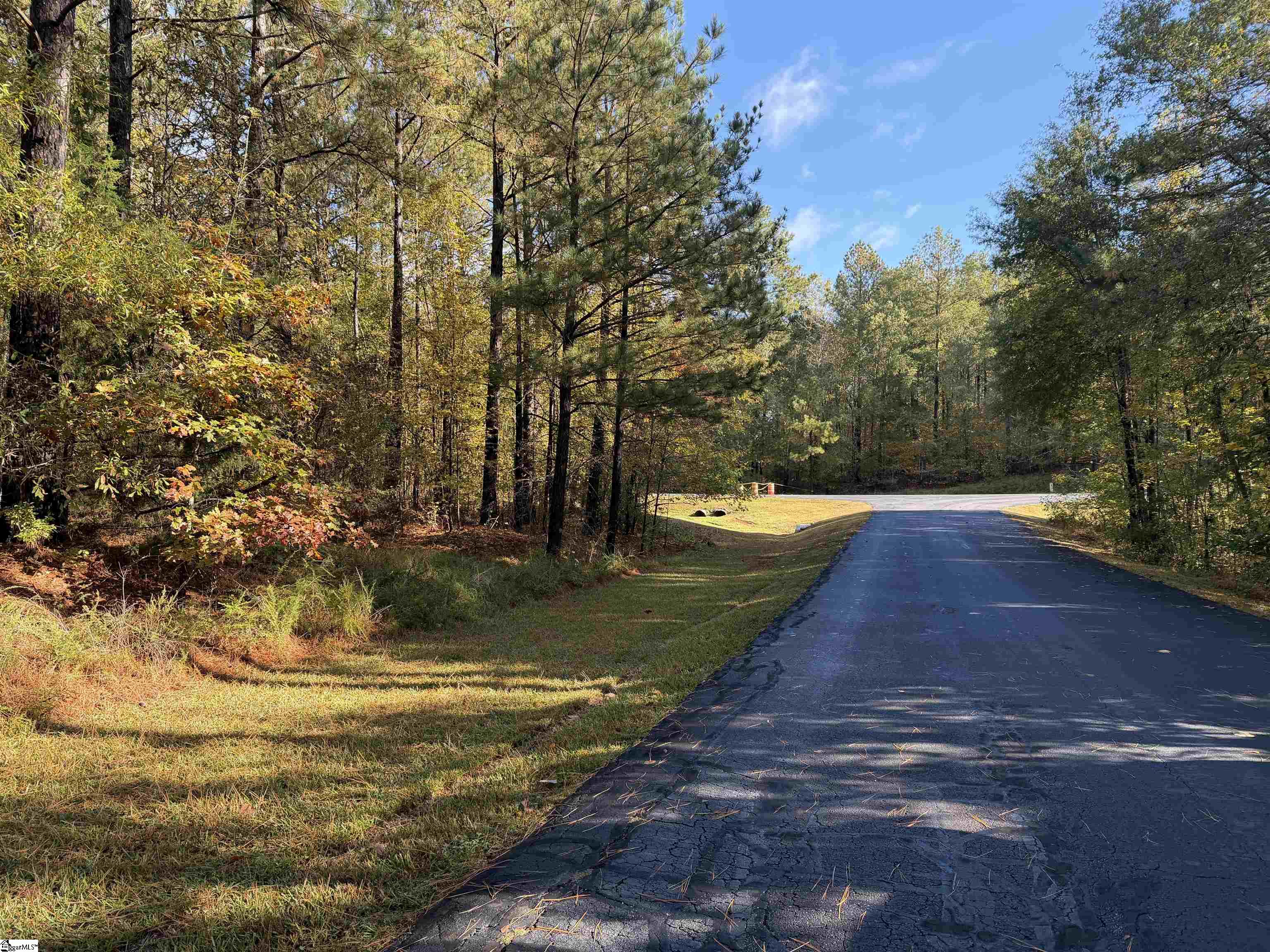 102 Flamingo Point Cross Hill, SC 29332 - Photo 9 of 24 Gallery Image 9