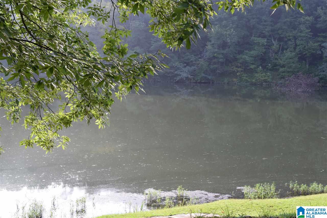 Lot 10 South Hollow Road, Unit 10 Hayden, AL 35079 - Photo 13 of 17