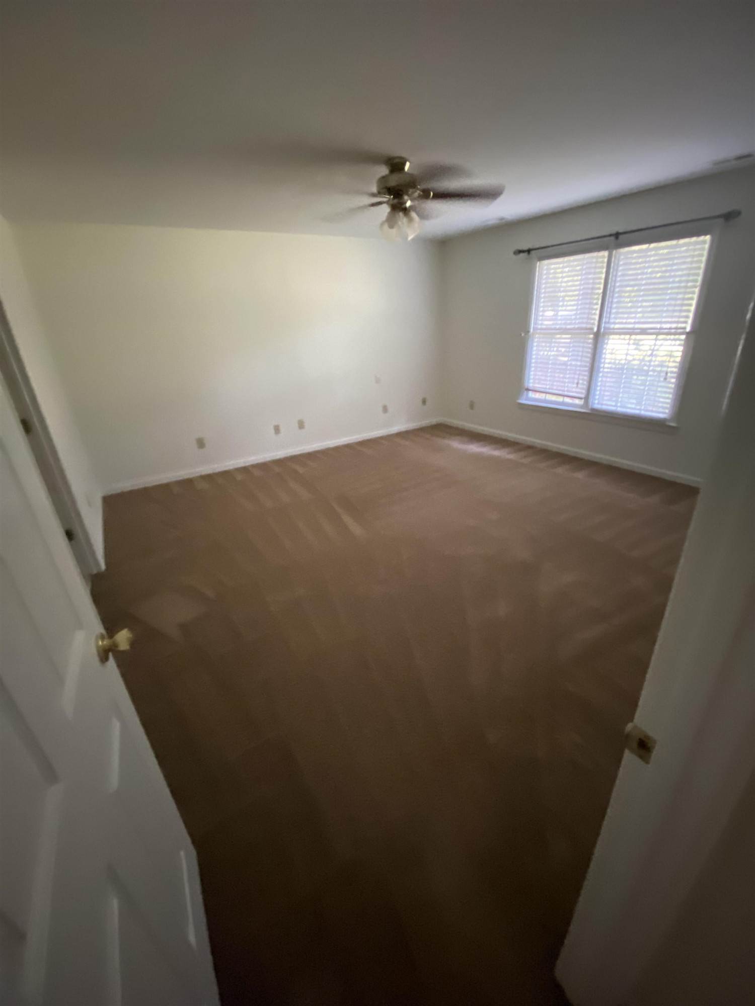8306 McKee Road Rougemont, NC 27572 - Photo 3 of 6 Photo 3