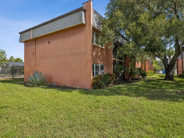 a backyard of a house with plants and large tree