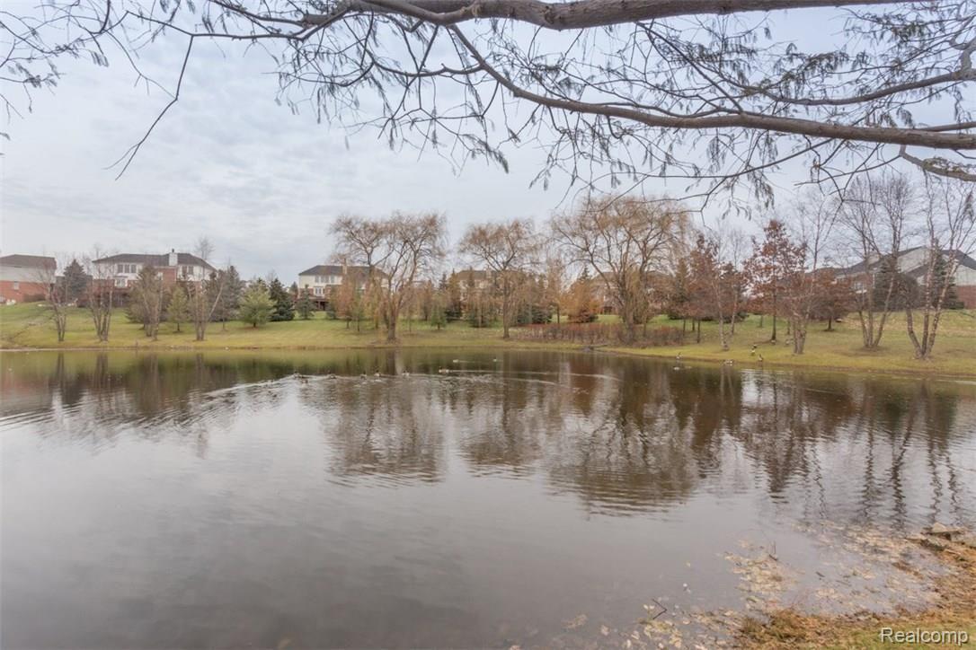 2077 Aberdeen Court Rochester, MI 48306 - Photo 72 of 73 Aberdeen Court_2077--pond-76.jpg