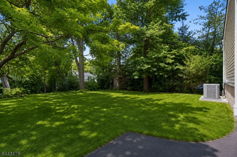 250 Milltown Road Springfield, NJ 07081 - Photo 23 of 23