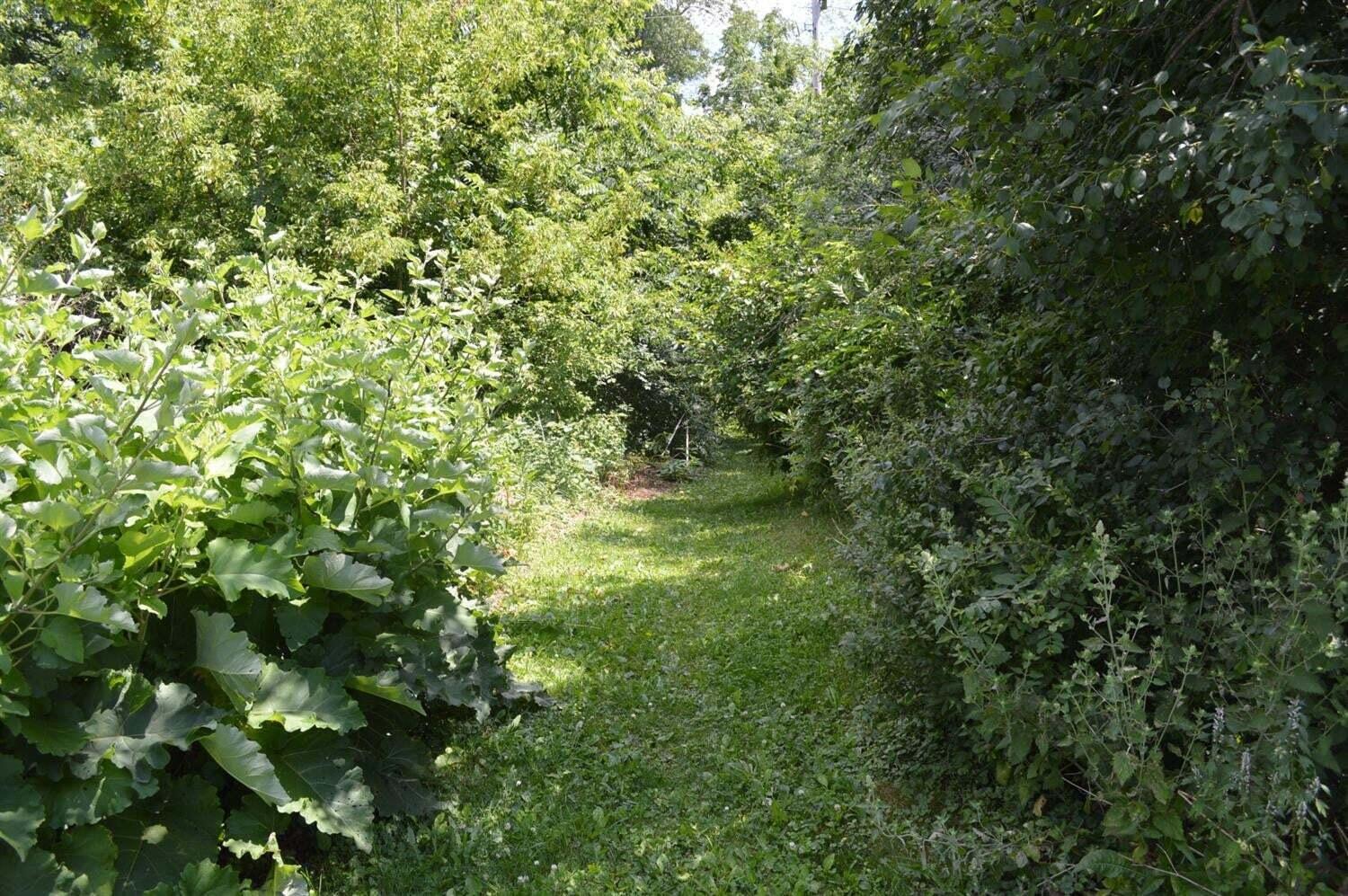 4561 North Lake Road Clarklake, MI 49234 - Photo 6 of 27 4561 walking trails