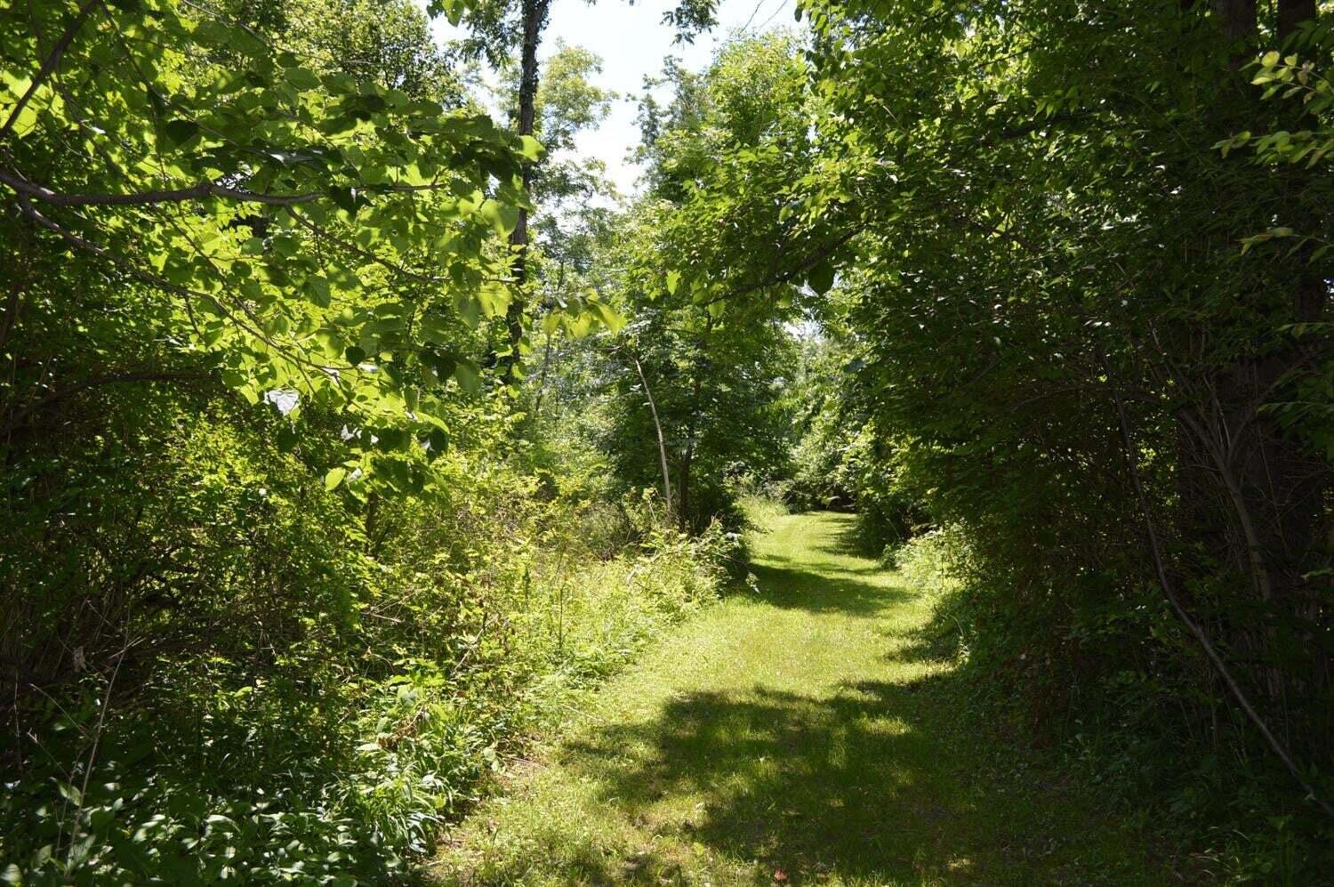 4561 North Lake Road Clarklake, MI 49234 - Photo 7 of 27 4561 walking trails 3