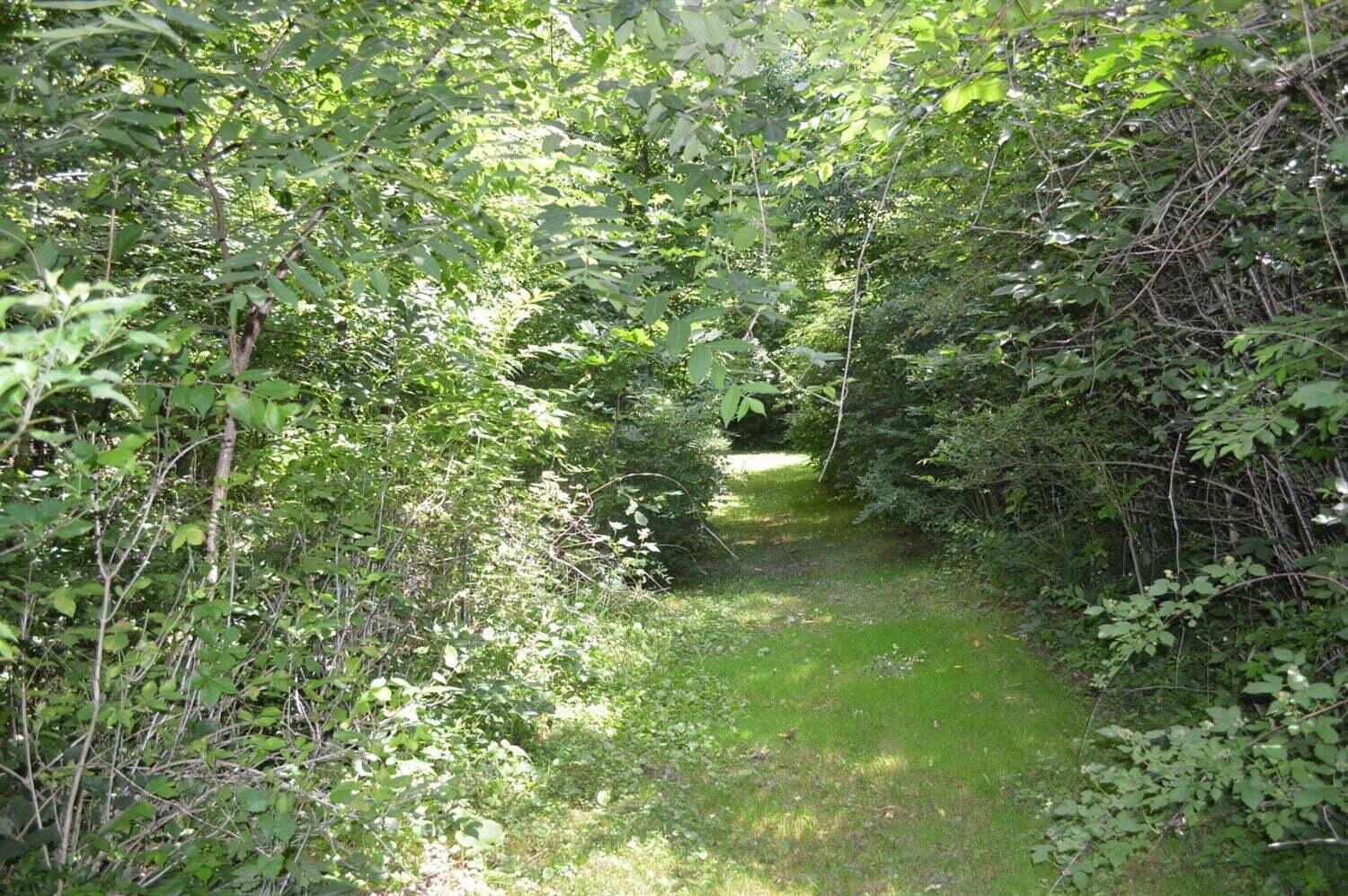 4561 North Lake Road Clarklake, MI 49234 - Photo 8 of 27 4561 walking trails 2