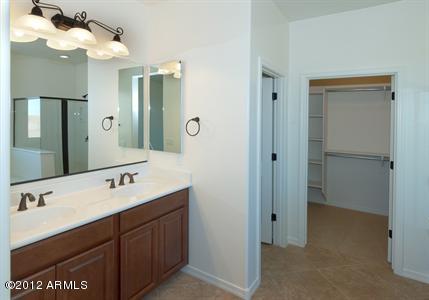 4273 South Red Rock Street Gilbert, AZ 85297 - Photo 9 of 13 Master_Bathroom