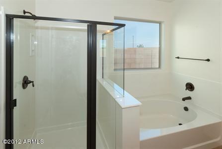 4273 South Red Rock Street Gilbert, AZ 85297 - Photo 10 of 13 Master_Shower