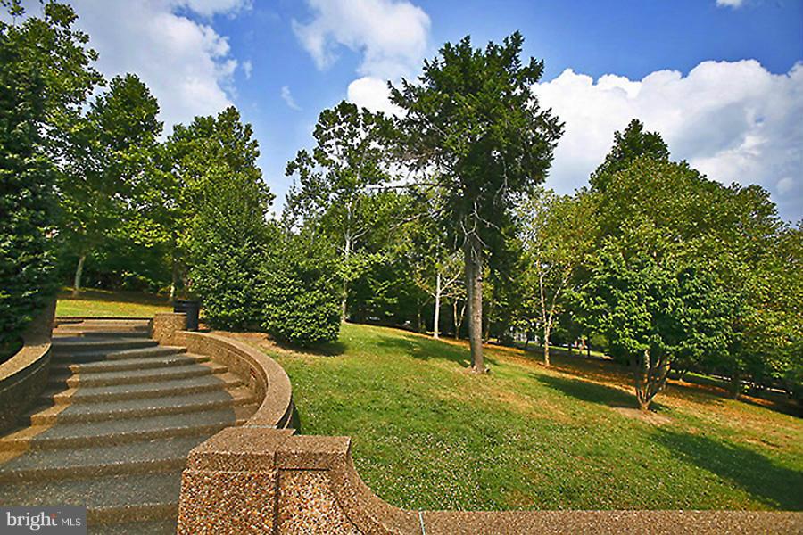 2464 Ontario Road Northwest, Unit 2 Washington, DC 20009 - Photo 10 of 13 Community