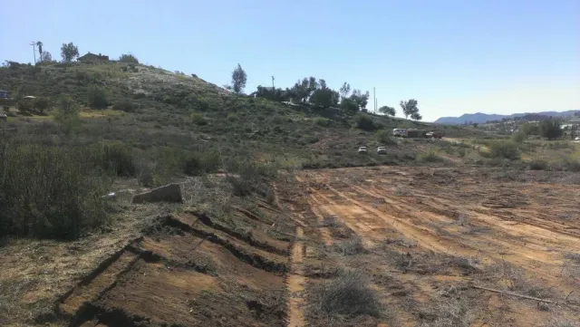 a view of a dry yard with trees