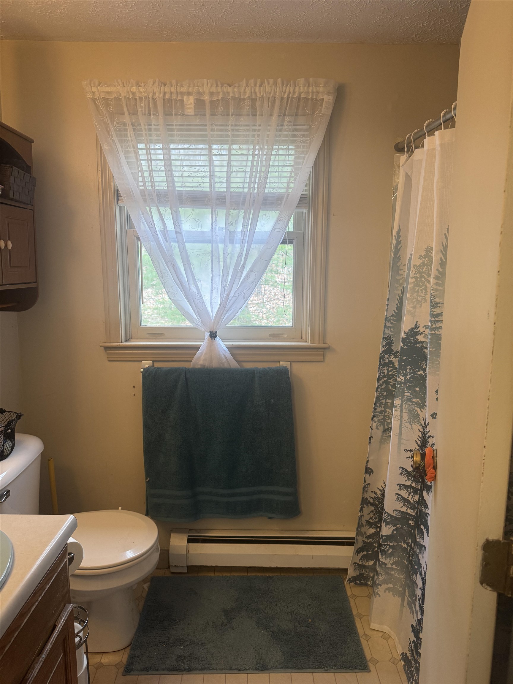 13 R Al Street Derry, NH 03038 - Photo 7 of 13
