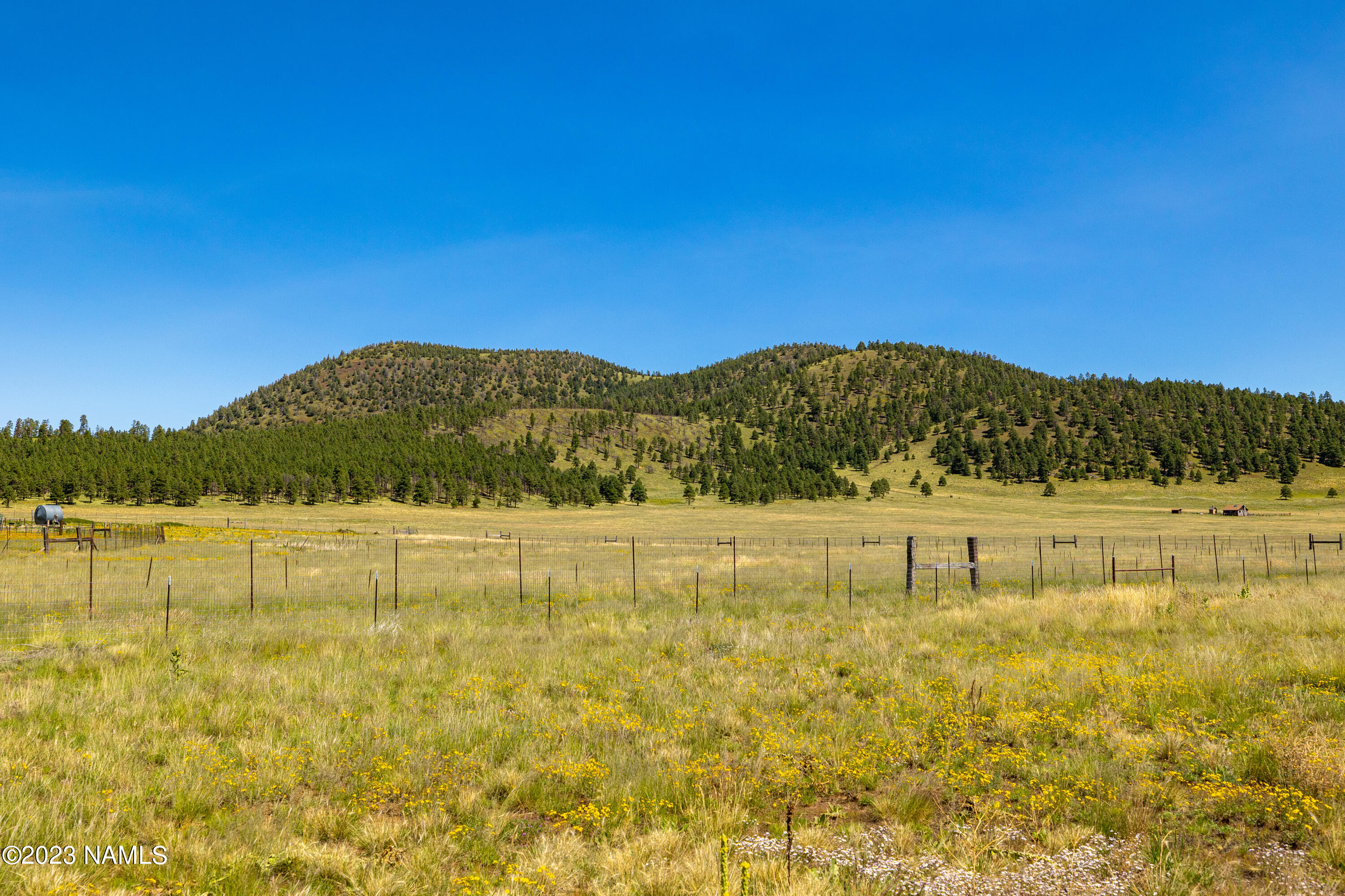 24504 Condor Road Flagstaff, AZ 86001 - Photo 42 of 45 CP-29